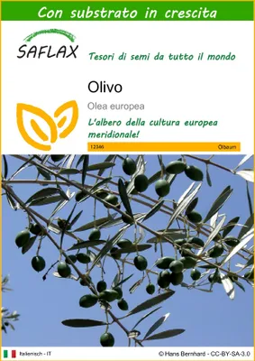 Immagine prodotto di SAFLAX - Olivo - 20 semi - Con substrato - Olea
