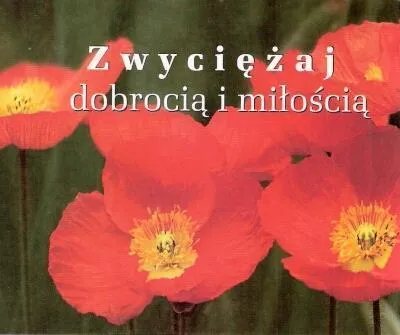 Immagine prodotto di Perełka 193 - Zwyciężaj dobrocią i miłością. - Besiege mit Güte und Liebe. (Literatur, Gedanken, Sprichwörter, Sentenzen auf Polnisch)