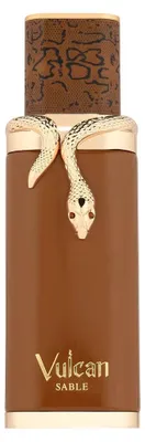 Image de Eau de parfum Vulcan Sable 100 ml - French Avenue