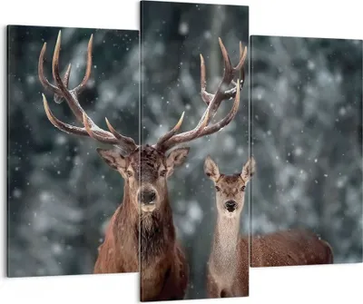 Produktbild von Bild auf Leinwand - Leinwandbild - 3 Teile - Hirsch Rentier Reh - 130x100cm - Wand Bild - Wanddeko - Wandbilder - Leinwanddruck - Bilder - Wanddekoration - Leinwand bilder - Wandbild - CB130x100-5060