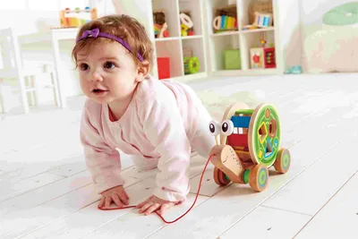 Produktbild von Hape Push & Pull Nachzieh-Schnecke, E0349