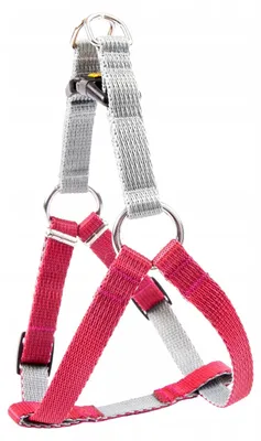 Immagine prodotto di Imbracatura per cani Dingo Fred Twilight Silver, colore Bordeaux, taglia L