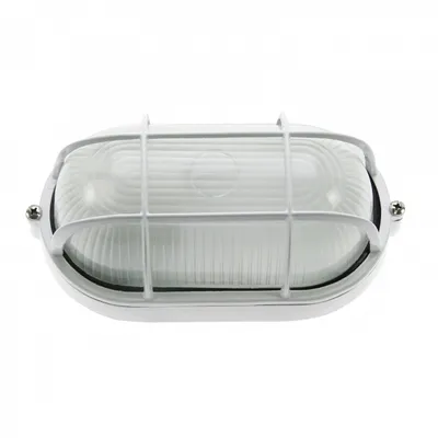 Zdjęcie produktu dla Lampa do sauny SENTIOTEC IP54, 40 W