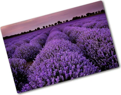 Produktbild von Tulup Glas Herdabdeckplatte - 80x52 cm - Glaskeramikkochfeld-Abdeckung Spritzschutz Glasabdeckplatte - Einteilig - Blumen & Pflanzen - Lavendelfeld - Lila