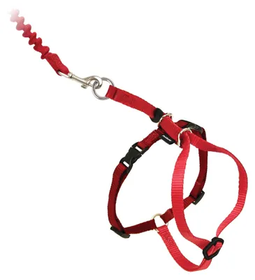 Produktbild von PetSafe Easy Walk Katzengeschirr, Mit elastischer Bungee-Leine, Für Spaziergänge