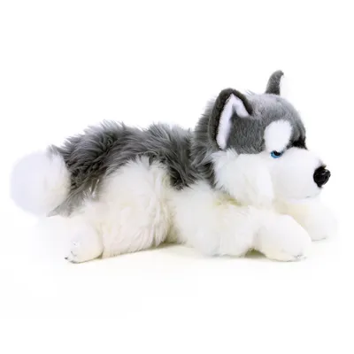 Zdjęcie produktu dla Pluszowy Husky 32 cm Ekologiczny