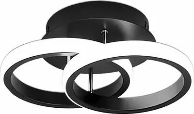 Produktbild von APT ZD110 LED-Deckenleuchte, 20 W, schwarz