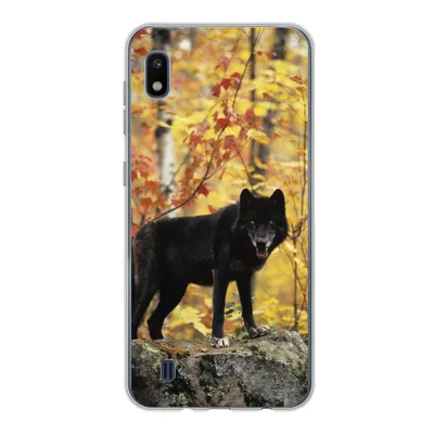 Produktbild von MuchoWow® Handyhülle Schutzhülle Hülle für Samsung Galaxy A10 Wolf - Fels - Baum Silikon Softcase Handy Hülle - Schutzhülle