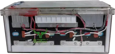 Image de BullTron LiFePO4 51,2 V 100 Ah Smart BMS et Bluetooth Polar