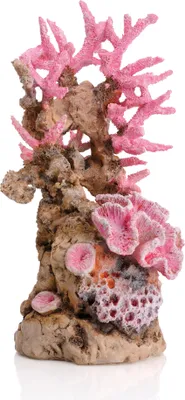Produktbild von BiOrb Korallenriff Ornament pink (46130)