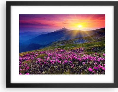 Produktbild von Gerahmtes Poster - Schwarzer Rahmen - Wiese Berge Landschaft - 40x30 cm - Wand Bild - Wanddeko - Wandbilder - Kunstposter - Wandposter - Bilderrahmen - Bilder - Kunstdruck - Wandbild - P2BAA40x30-2676