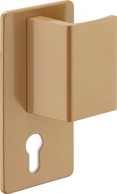 Image de Poignée Targa pour porte palière, droite, or - THIRARD