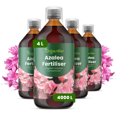 Obrázok produktu pre Azalka, tekuté hnojivo, 4 x 1 l – vzorec NPK 3-4-3 – pre kvitnúce rastliny – pre bohaté kvitnutie a silné korene – podporuje vitalitu a zdravé listy – organické