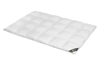 Produktbild von Daunendecke 240x220 cm 100 % Gänsedaunen Extra warme  Bettdecke Steppdecke Daunen SPESSARTTRAUM GOLD
