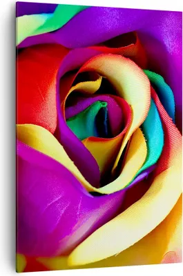 Produktbild von Bild auf Leinwand - Leinwandbild - Einteilig - Blume Farbe Rose - 70x100cm - Wand Bild - Wanddeko - Wandbilder - Leinwanddruck - Wanddekoration - Leinwand bilder - Wandbild - PA70x100-3623
