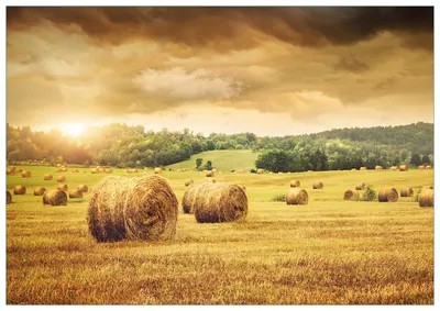 Produktbild von Wallario Premium Glasbild, freischwebende Optik, kräftige Farben, Größe 100 x 70 cm Motiv Strohballen auf dem Feld bei Sonnenuntergang