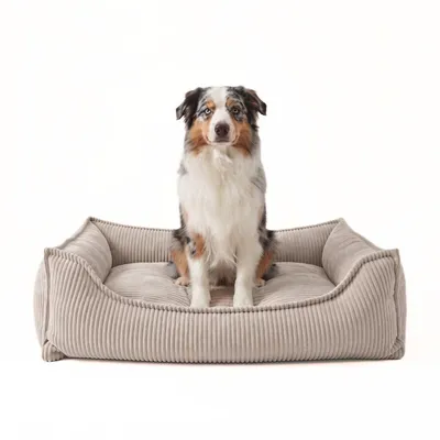 Produktbild von 4L Textil HUGO Orthopädisches Hundebett aus Cord mit Visco-Schaumstoff, abnehmbarer Bezug, für mittelgroße Hunde, 100x80 cm, Beige