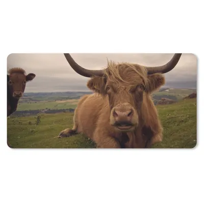 Produktbild von MuchoWow® Schreibtischunterlage Schottischer Highlander - Tiere - Berg 80x40 cm - XXL Mauspad - Gaming Mauspad