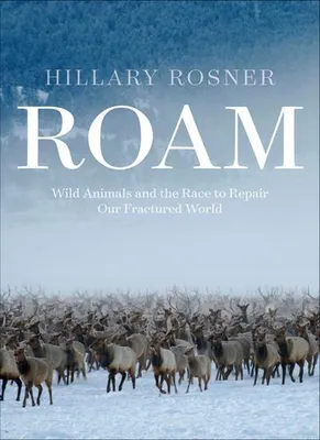 Image de Roam