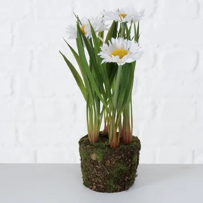 Produktbild von Boltze Gruppe Margerite Kunstpflanze 20 cm