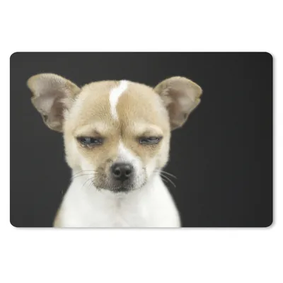 Produktbild von MuchoWow® Mauspad Mousepad Hund - Haustiere - Porträt 27x18 cm - Mousepads - Maus Mat - Pad - Mausunterlage - Büroartikel - Desk Matten