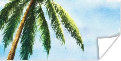 Produktbild von MuchoWow® Poster Palme - Himmel - Aquarell 120x60 cm - Bild
