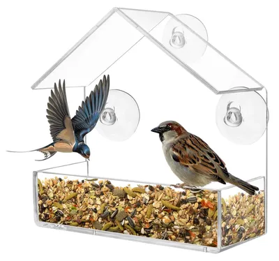 Produktbild von Vogelhäuschen Vogelfutterhaus Fensterfutterhaus - Transparent - 15 x 6,5 x 15 cm - Mit 3 Saugnäpfen - Für draußen