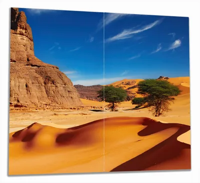 Produktbild von Wallario Herdabdeckplatte aus Glas, Größe 60 x 52 cm 2-teilig, Motiv In der Wüste Sahara