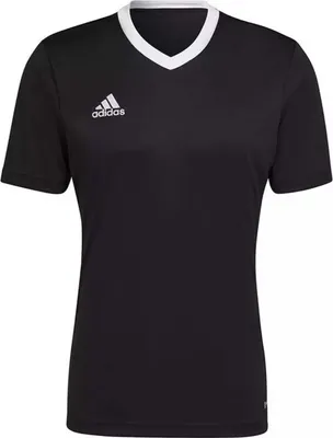 Immagine prodotto di Adidas T-shirt HE1573 in Black color size large