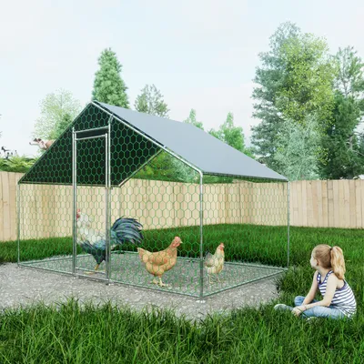 A girl sits on the grass looking at a chicken coop with chickens inside, in a backyard setting.