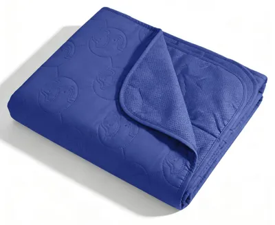 Immagine prodotto di Coperta impermeabile per cani, lavabile, antiscivolo, dimensioni 150 x 120 cm, colore blu navy