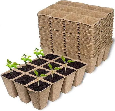 Immagine prodotto di Vasi biodegradabili per ortaggi e frutta - 12 pezzi, 4 cm, 16 x 12 cm