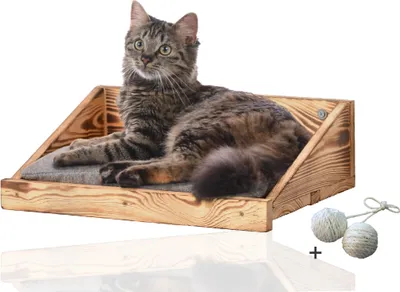 Produktbild von Rohrschneider Katzen Kletterstufe mit Kissen | Katzentreppe Wand als Spiel- und Trainingsmöglichkeit | Katzen Wandelement sicher u. stabil | Katzenwandmöbel aus hochwertigen Materialien, Größe:1 Stück
