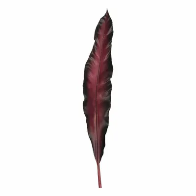 Immagine prodotto di Leonardo foglia Fiore L038522