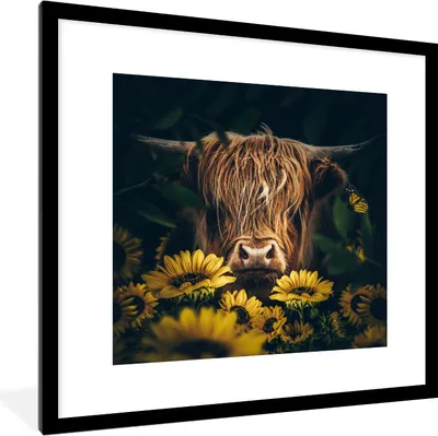 Produktbild von MuchoWow® Gerahmtes Poster Schottische Highlander - Blumen - Kuh - Botanisch - Tiere 40x40 cm - Poster mit Schwarzem Bilderrahmen Wandposter Rahmen Foto Bilder - Poster - Plakat im Rahmen