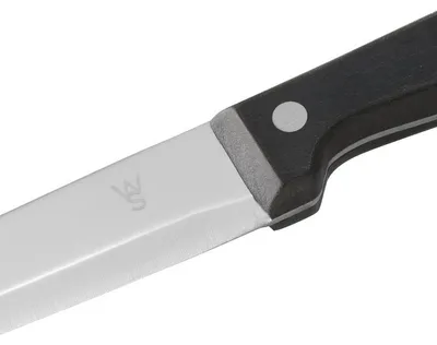 Produktbild von Steakmesser Set, mit POM Kunststoffgriff, 25 cm