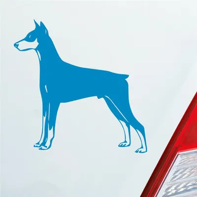 Produktbild von Auto Aufkleber Dobermann Hund Dog Animal Tier 10x10 cm Hellblau Sticker Heckscheibenaufkleber