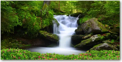 Produktbild von Tulup® Leinwandbild - 140x70 cm - Wandkunst - Drucke auf Leinwand - Leinwanddruck  - Landschaften - Grün - Wasserfall Wald