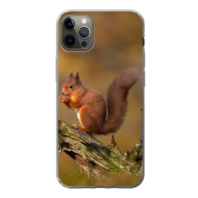 Produktbild von MuchoWow® Handyhülle Schutzhülle Hülle für iPhone 13 Pro Max Eichhörnchen - Baumstamm - Wald Silikon Softcase Handy Hülle - Mobiltelefon