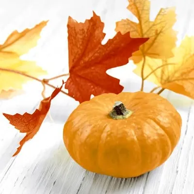 Produktbild von 20 Servietten Herbstblätter und Kürbis 24cm