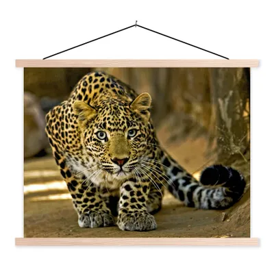 Produktbild von MuchoWow® Textilposter Leopard - Raubtier - Porträt 40x30 cm mit holzfarbenen Rahmen - Bilder