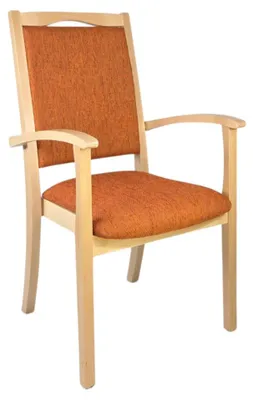 Productafbeelding van Alexander Hochlehner seniorenstoel – Ergonomische armleuningstoel voor senioren en verzorging