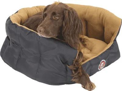 Produktbild von Pet-Joy Products Doggy Teddy X-Treme Black - Large 65 x 28