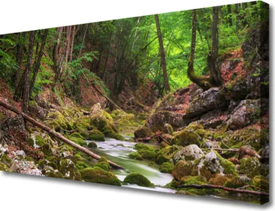 Produktbild von Tulup Leinwand-Bilder 100x50 Wandbild Canvas Kunstdruck Wald Natur