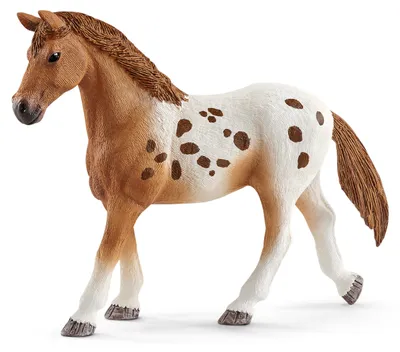 Zdjęcie produktu dla schleich HORSE CLUB 42433, Horses, 5 lat(a), Wielobarwny, Plastik