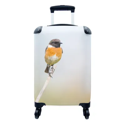 Produktbild von MuchoWow® Koffer Handgepäck Trolley Rollkoffer Kleine Reisekoffer mit 4 Rollen - Vogel - Äste - Himmel - Cabin Size < 55x40x23 cm & 55x40x20 cm - Fotokoffer - Kabinenkoffer - Boardgepäck - Reise-Box - Reisekoffer - Reisegepäck - Koffer mit Bild - Trolley für Kinder