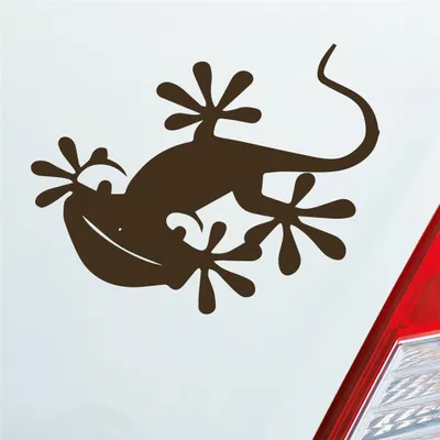 Produktbild von Auto Aufkleber Salamander Gecko Echse Agame Süß Tuning 13x10 cm Braun Sticker Heckscheibenaufkleber