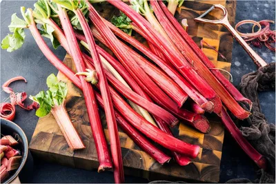 Produktbild von Stauden Gänge 1 x Rheum rhabarbarum 'Holsteiner Blut' im 2 Liter Topf - Rhabarber - Intensiver Geschmack trifft kräftiges Rot - mittelfrühe Sorte