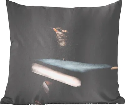 Produktbild von MuchoWow® Zierkissen Sofakissen Wohnzimmer Dekokissen 50x50 cm Vogel - Bücher - Porträt - Komfort - Sofakissen