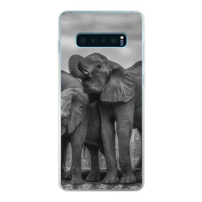 Produktbild von MuchoWow® Handyhülle Schutzhülle Hülle für Samsung Galaxy S10 Plus Elefant - Tiere - Wasser - Schwarz und weiß Silikon Softcase Handy Hülle - Schutzhülle